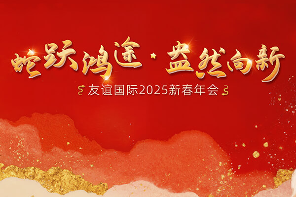 蛇躍鴻途,盎然向新 | 友誼國際2024年度工作總結(jié)表彰會隆重舉行